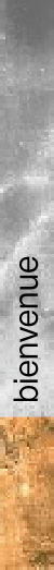 wpd3a9f9fe.png