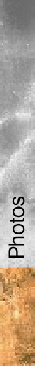 wpd555f326.png